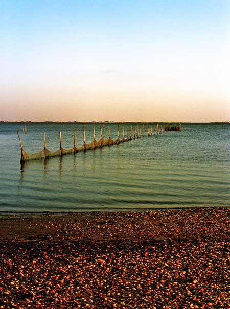 East Hampton, NY : Fishnet. East Hampton.NY