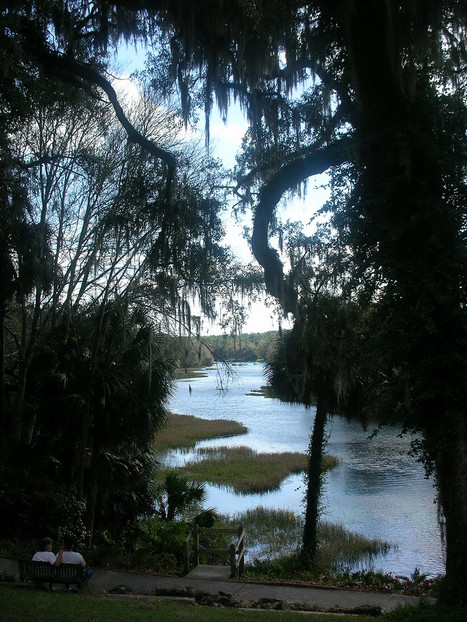 Ocala, FL : State Park river view