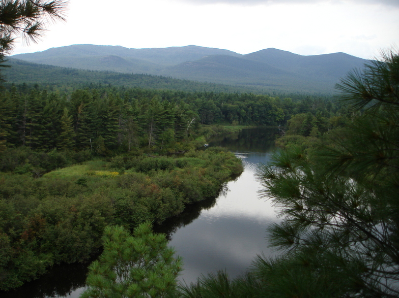 Plattsburgh, NY : A gorgeous view from a tree top