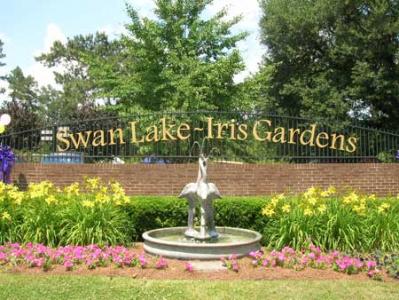 East Sumter, SC: Swan lake is O so fantastic!