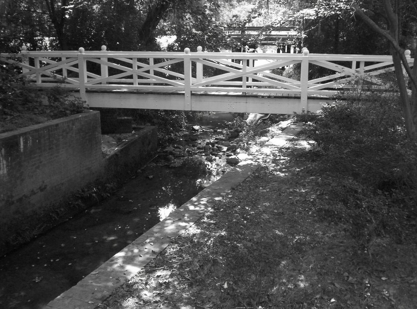 Summerville, SC : Brige at Azalea Park