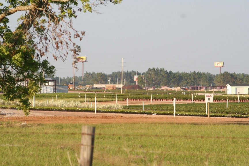 Loxley, AL: A large nursery operation is among the top employers in Loxley.
