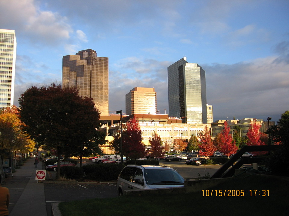 Bellevue, WA: Bellevue Downtown