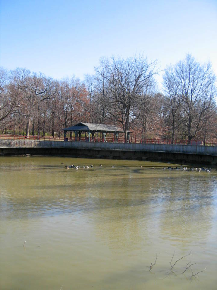 Concord, MO : playground in Concord