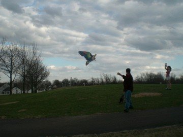 St. Ann, MO : St. Ann Flying kites