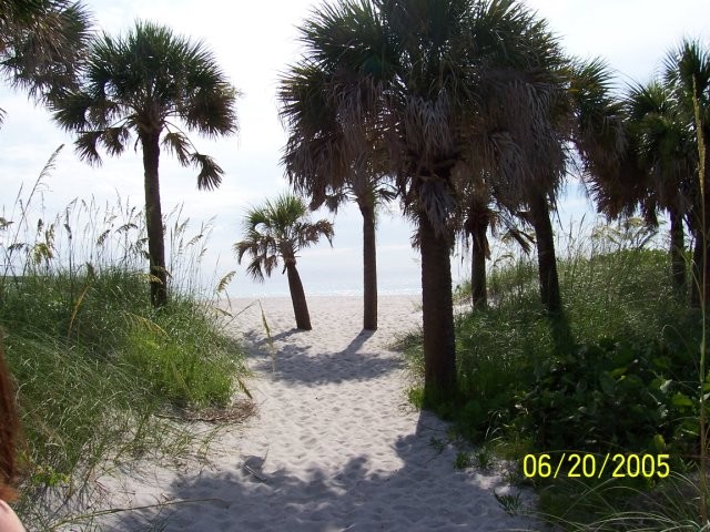 Venice, FL : walkway to beach