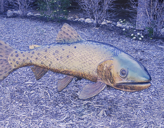 Golden, CO: Fish Sculpture in Golden, Colorado