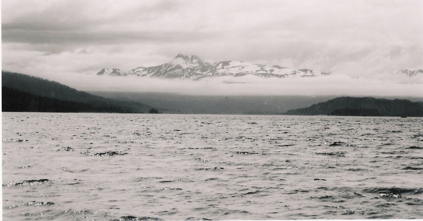 Homer, AK : cloudy day in Homer