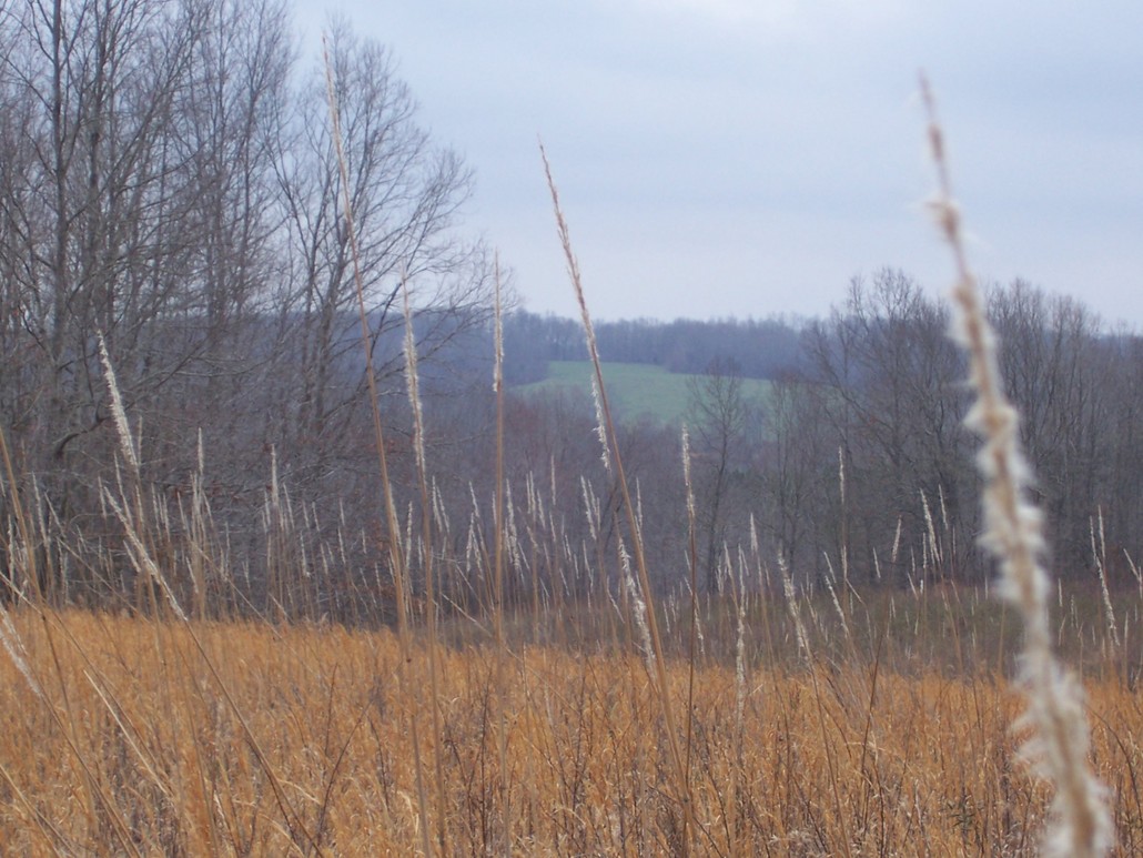 Lawrenceburg, TN : Harris Farm, Piney Community in Lawrenceburg Tennessee