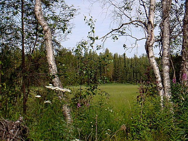 Meadow Lakes, AK: Alaska Produce Growers, Meadow Lakes
