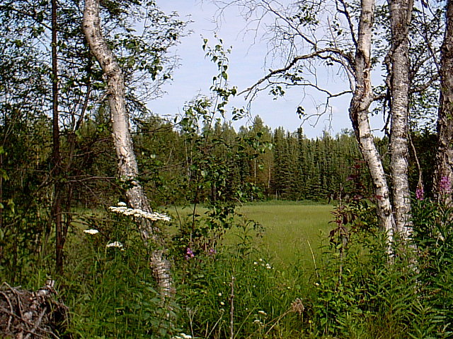 Meadow Lakes, AK : Alaska Produce Growers, Meadow Lakes