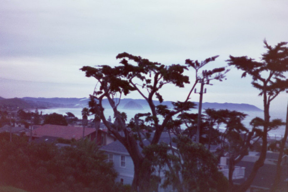 Morro Bay, CA: El Morro seen thru tree branches