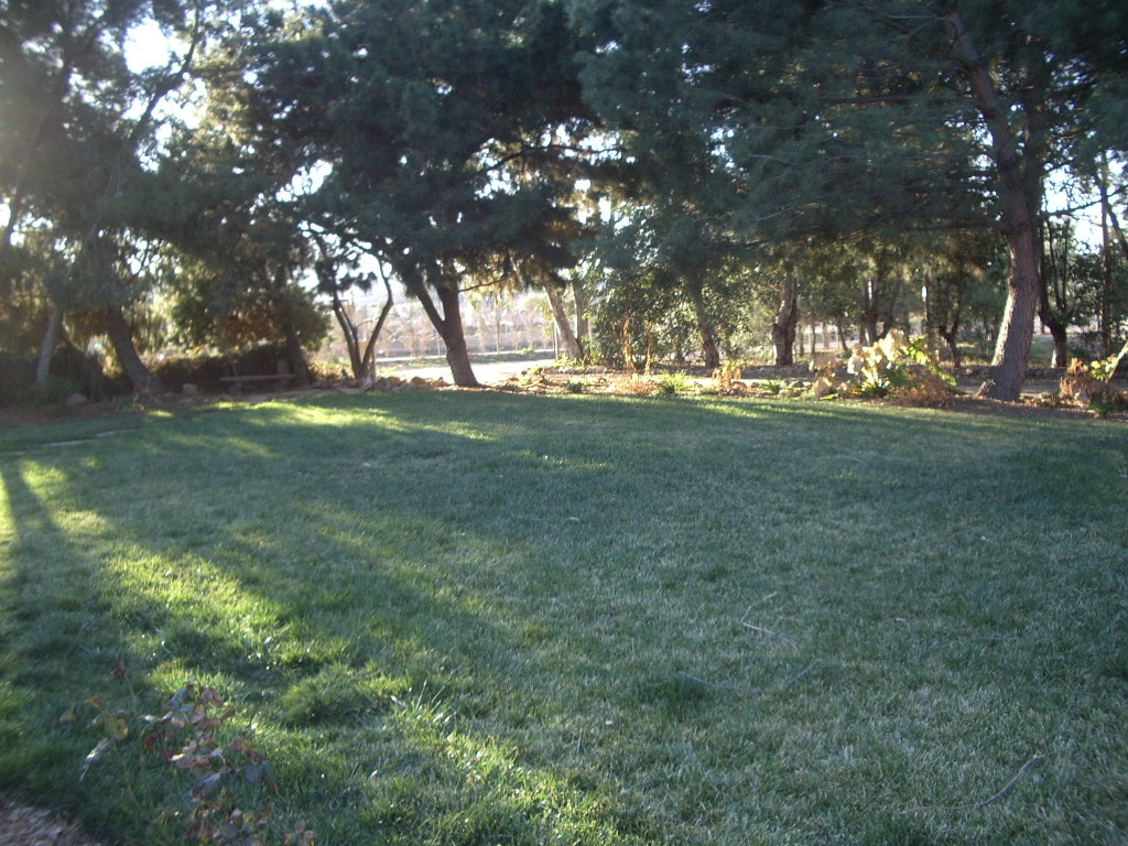 Ramona, CA : This is what I look at everyday, Right off of Hwy 67 in Ramona.