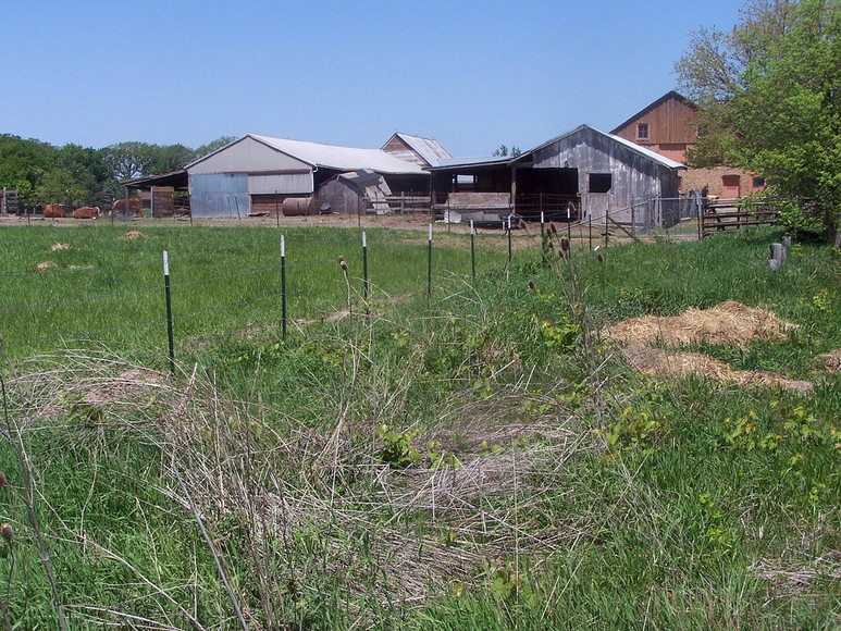 Mokena, IL: an animal farm on townline road in Mokena