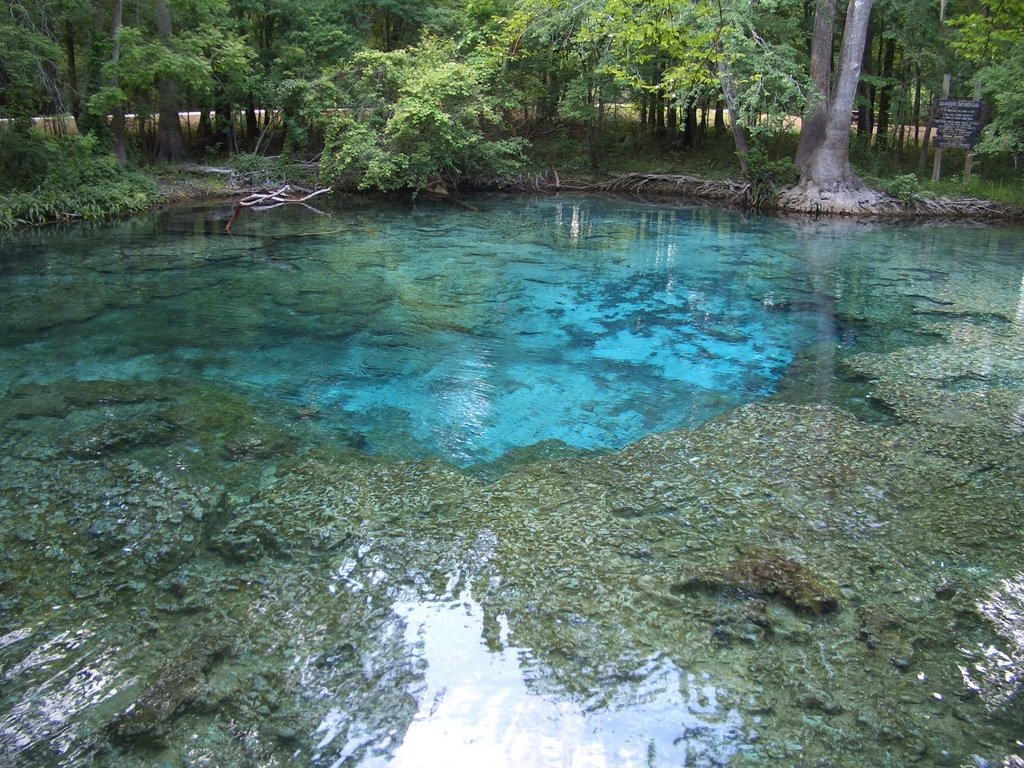 Alachua, FL: Picture taken Florida Springs..