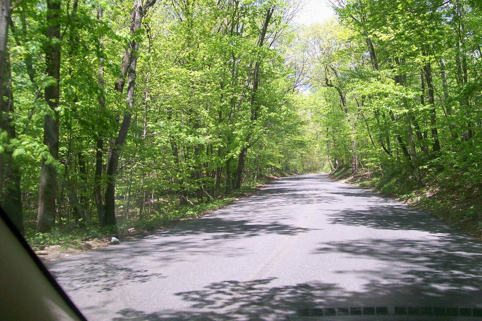 Naugatuck, CT : Candee Lane in Naugatuck