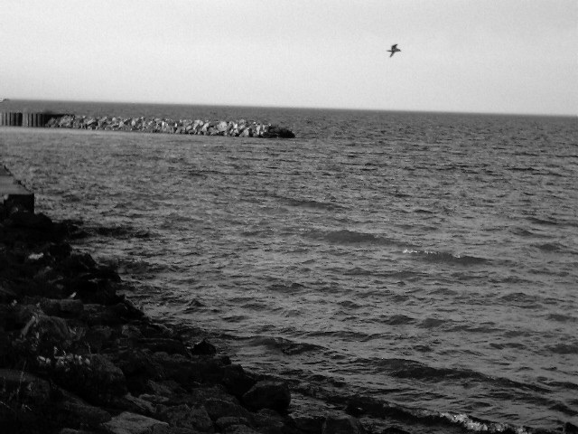Westfield, NY : Lake Erie