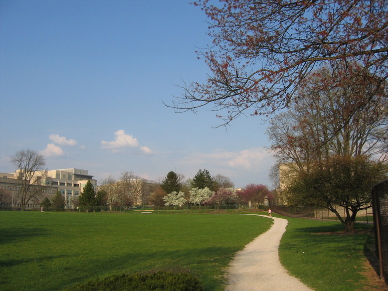 Bloomington, IN: IU Bloomington Campus in spring (2005-04-10)