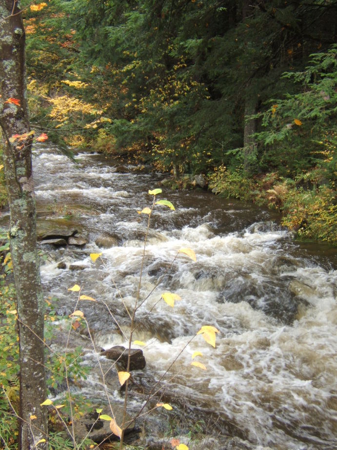 Londonderry, VT Londonderry, Vt River View on Thompsonburg Road