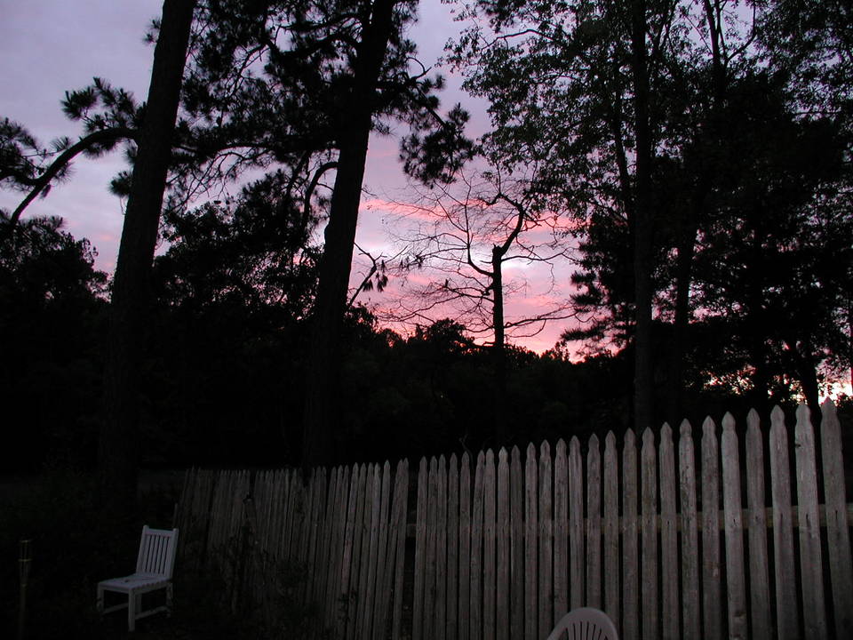 Mount Pleasant, SC : Sunset over marsh--my backyard