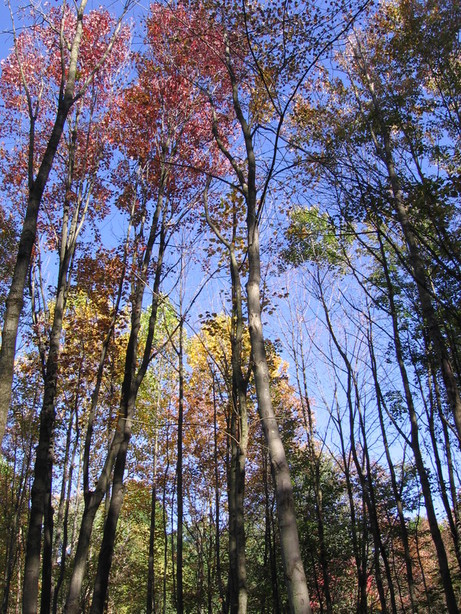 Munroe Falls, OH 