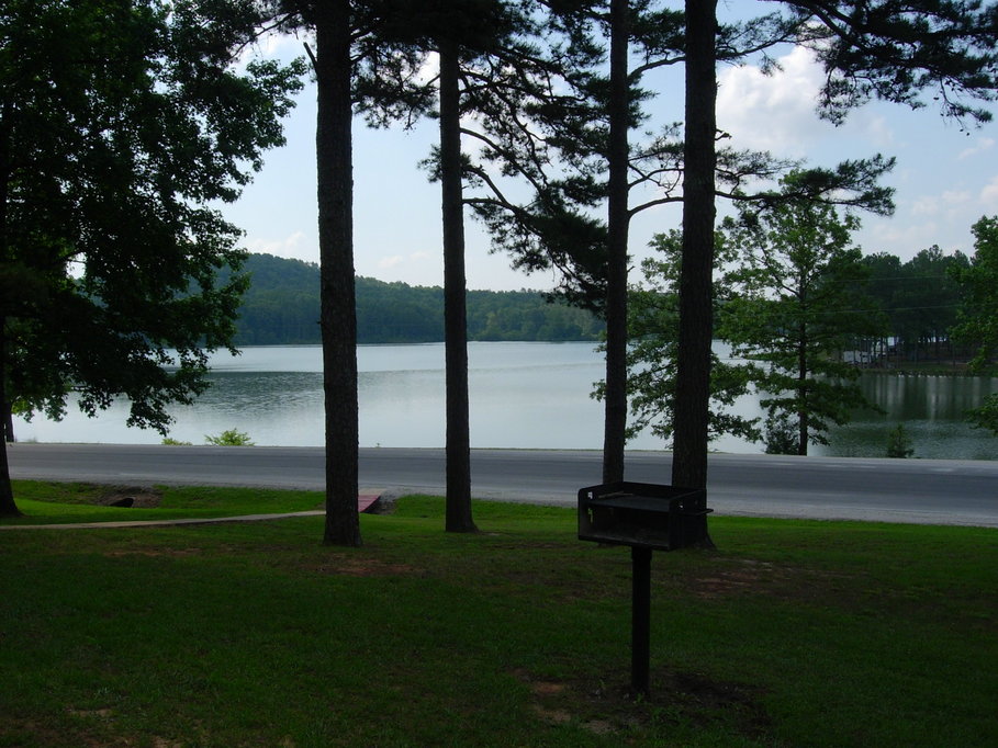 Ripley, MS: Ripley Lake