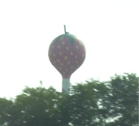Poteet, TX: The Strawberry Water Tower in Poteet, Tx