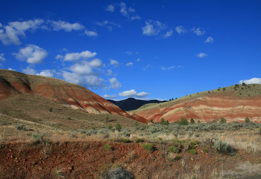 Prineville, OR: John Day Fossil Beds, East of town