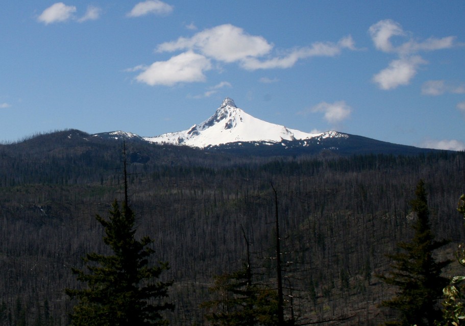 Sisters, OR: Mt Washington & recent burn, 12 miles west of Sisters