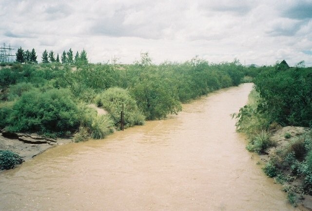 Deming, NM : Mimbres river in flood, 2006
