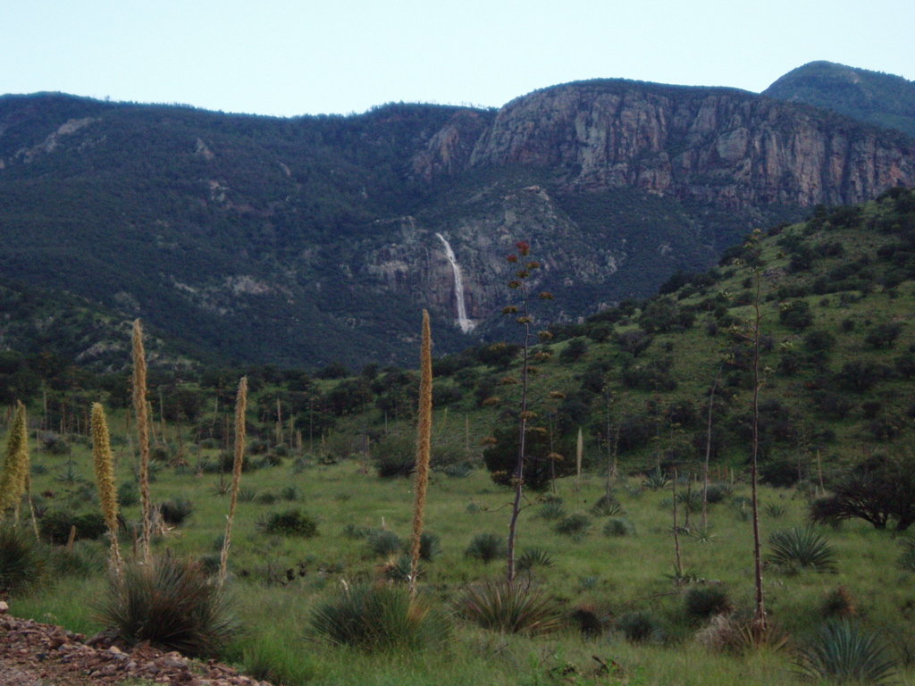 Sierra Vista Southeast, AZ: Carr Canyon Waterfall