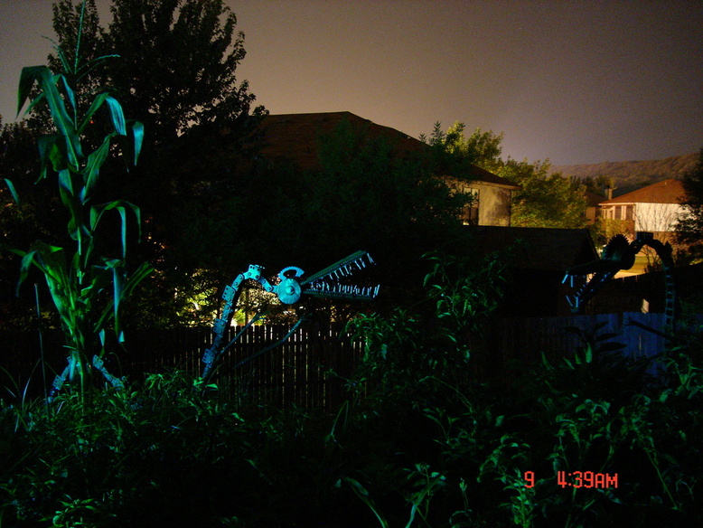 Copperas Cove, TX: Backyard Monsters in the a.m., illuminated by a bug light.