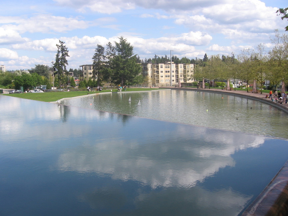 Bellevue, WA: Day at the Bellevue Park