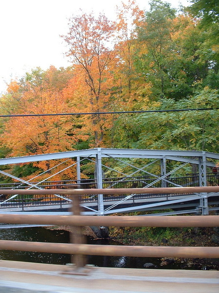 Amherst, MA : Fall colors in Amherst