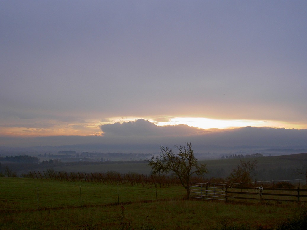 Banks, OR : View of Banks from Maller lane