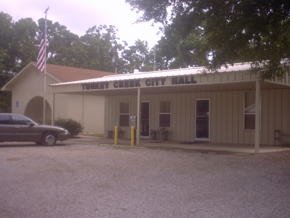 Turkey Creek, LA City Hall photo, picture, image (Louisiana) at city