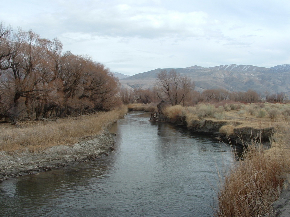 Big Pine Ca Big Pine Creek Photo Picture Image California At City