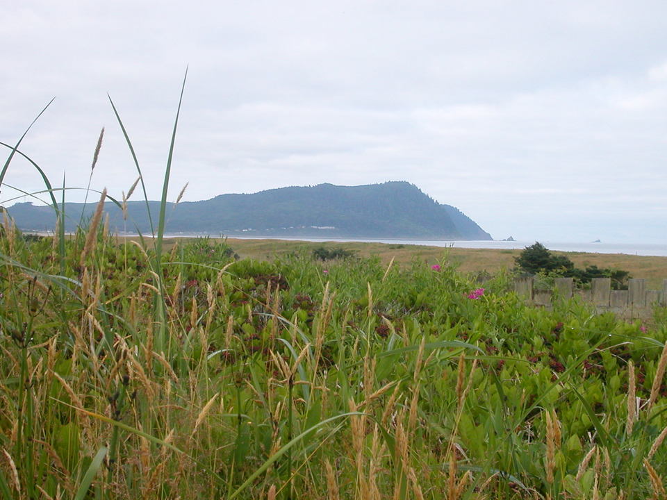 Gearhart, OR : View of Tillamook Head from the Gearhart, OR dunes