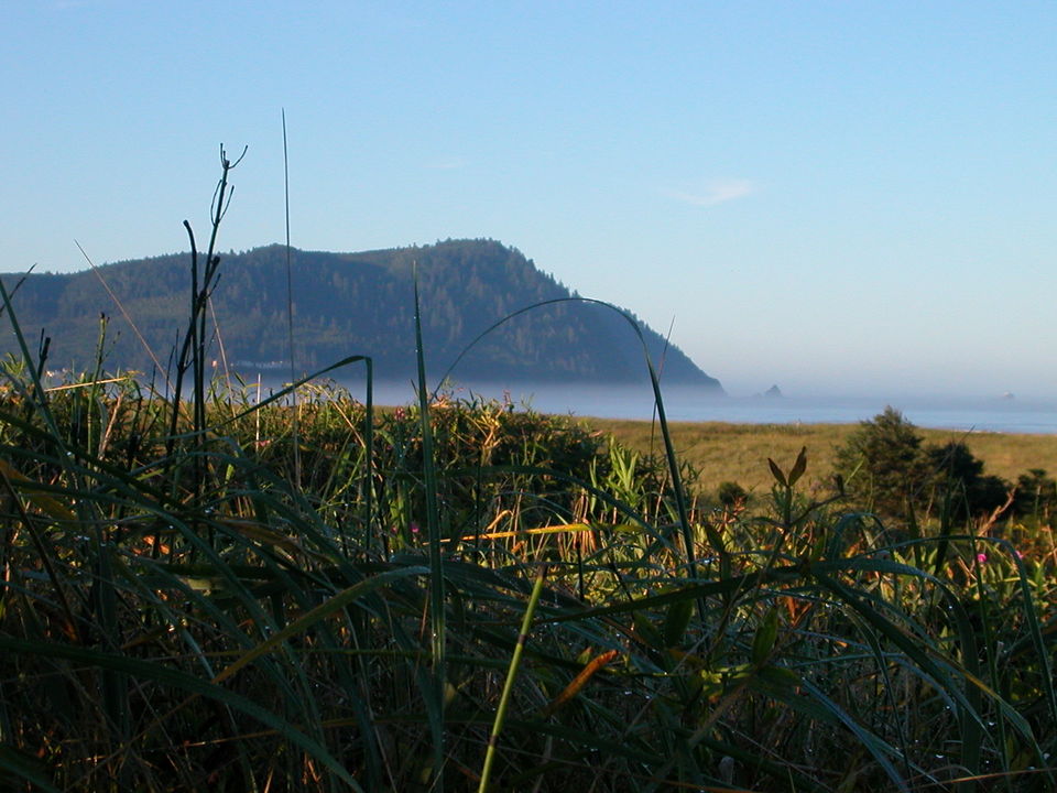 Gearhart, OR Tillamook Head from Gearhart, Oregon photo, picture, image (Oregon) at