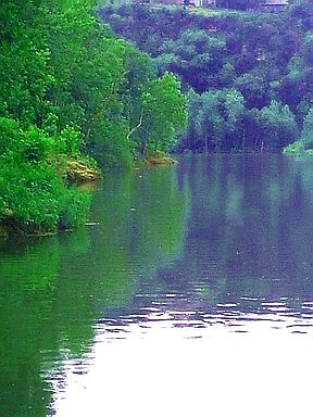 Forsyth, MO : Swan Creek at Shadow Rock Park, Forsyth Missouri photo