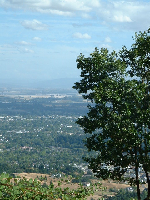 Corvallis, OR: View of Corvallis from Chip Ross Park