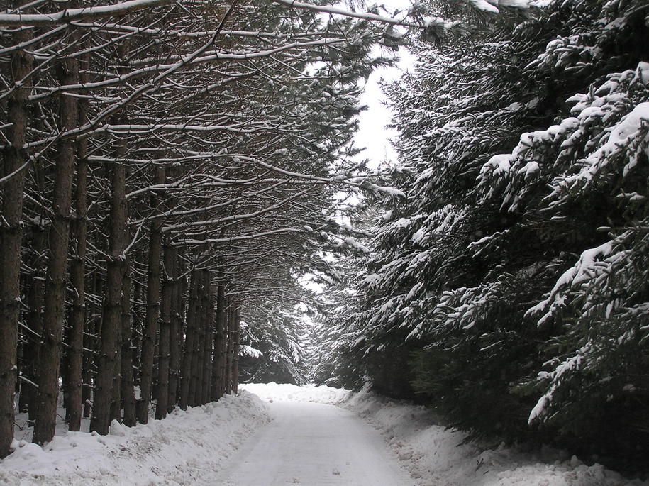Portage, WI : 