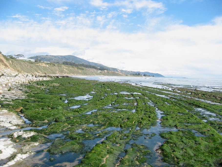 Carpinteria, CA low tide photo, picture, image (California) at city