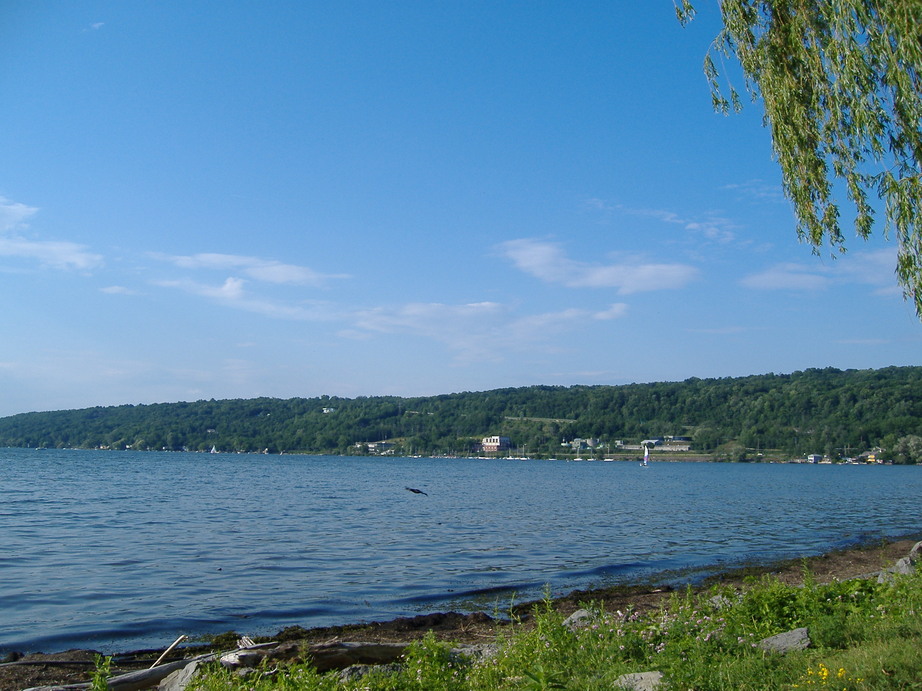 Ithaca, NY: cayuka lake
