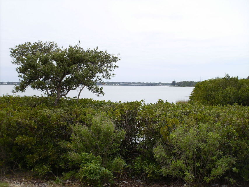 Oldsmar, FL : Oldsmar Bridge from R.E. Olds Park