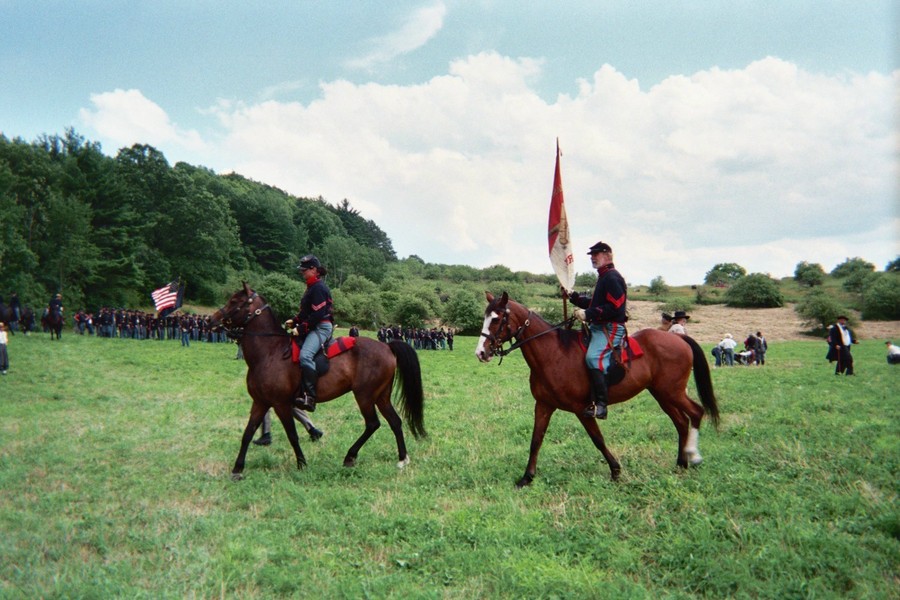 Groton, MA : Horses at the Civil War reenactment at the Hillbrook Orchard.