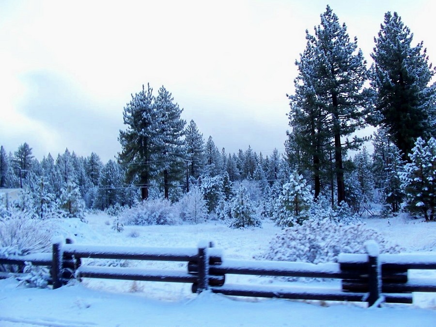 Truckee, CA : Truckee