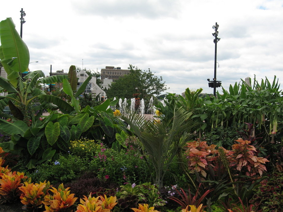 Dayton, OH : River Scape