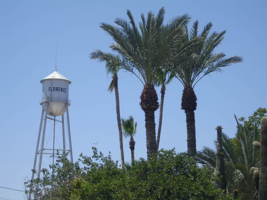 Florence, AZ : Florence Water Tower Among Palms