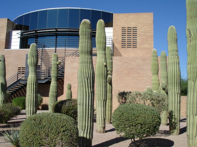 Gilbert, AZ: Gilbert Town Hall and Cacti